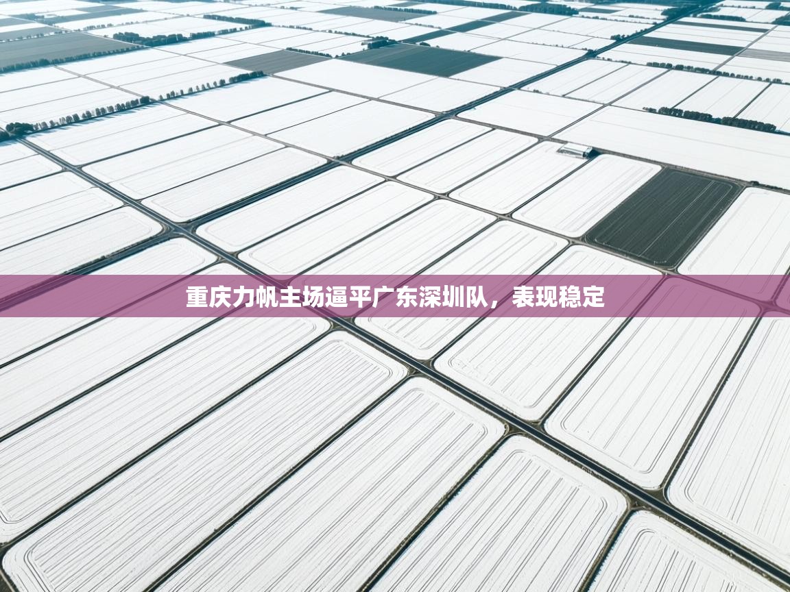 云开体育app网页版入口-重庆力帆主场逼平广东深圳队，表现稳定  第3张