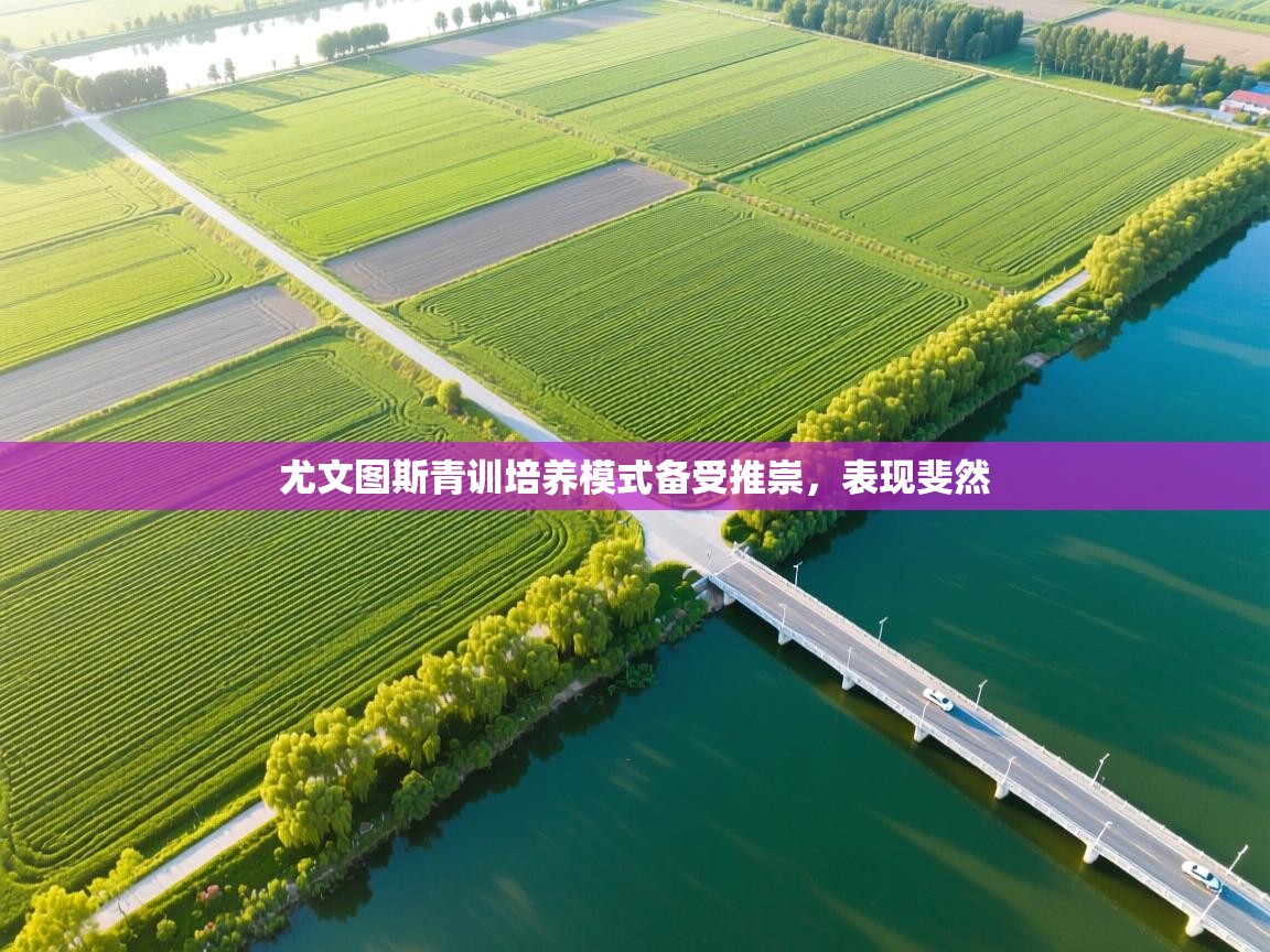 kaiyun sports-尤文图斯青训培养模式备受推崇，表现斐然  第1张