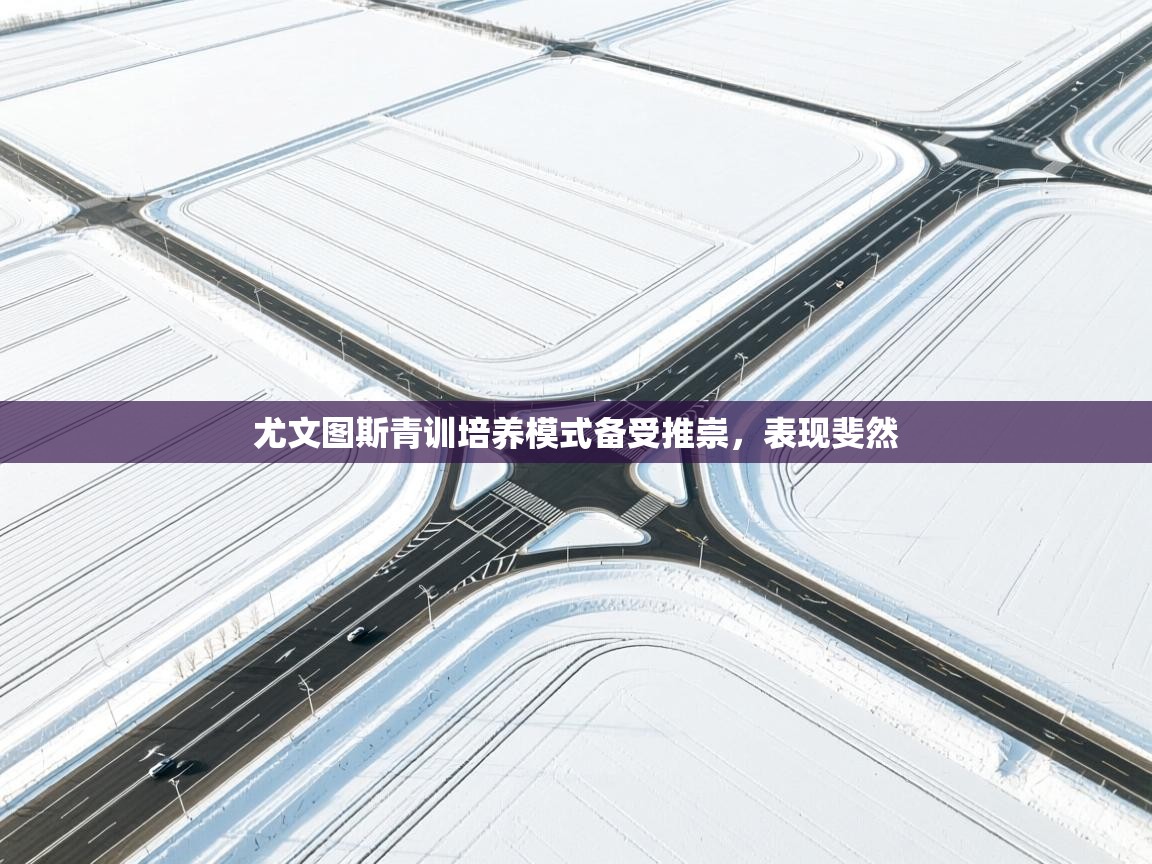 kaiyun sports-尤文图斯青训培养模式备受推崇，表现斐然  第2张