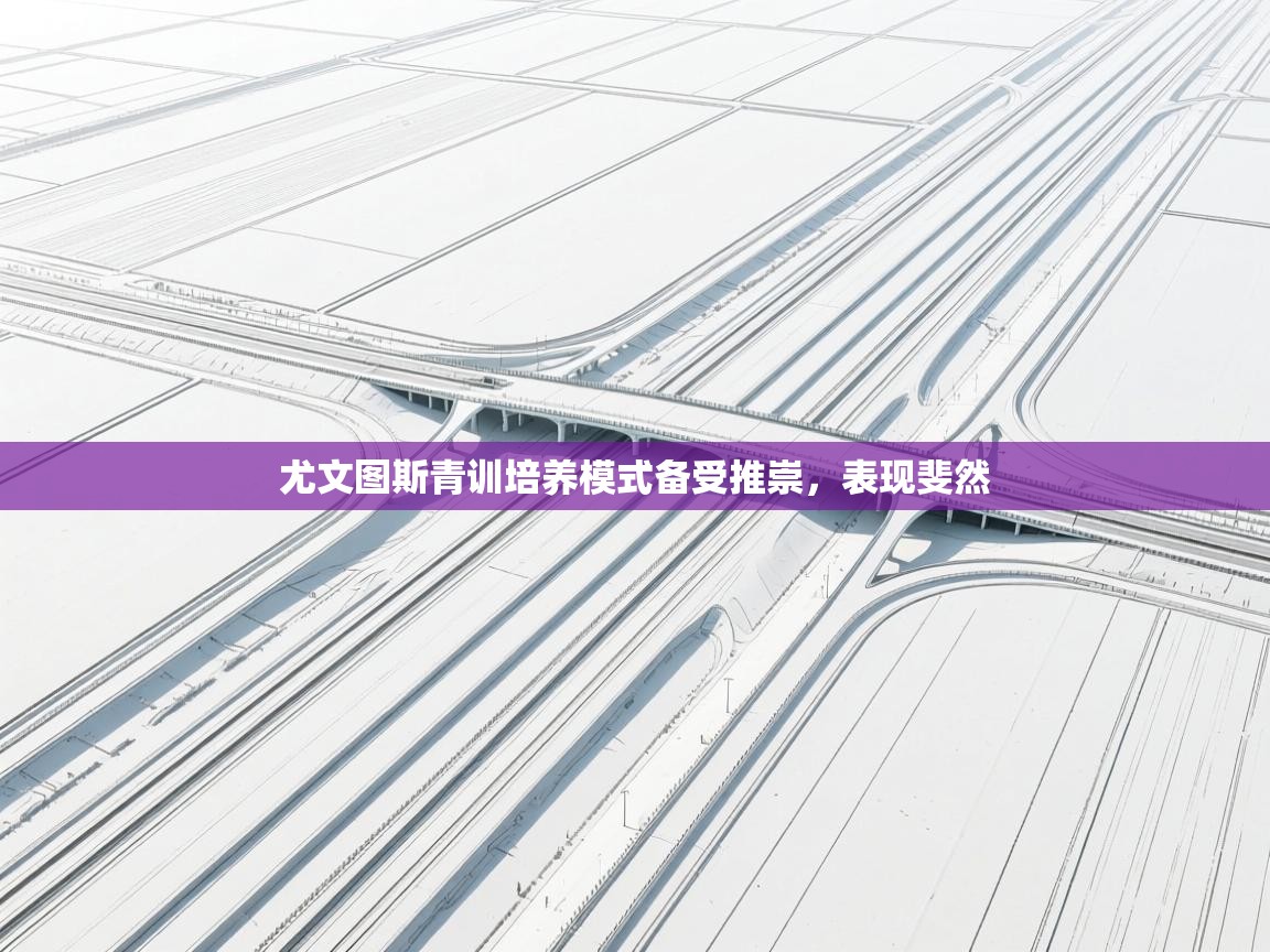 kaiyun sports-尤文图斯青训培养模式备受推崇，表现斐然  第3张