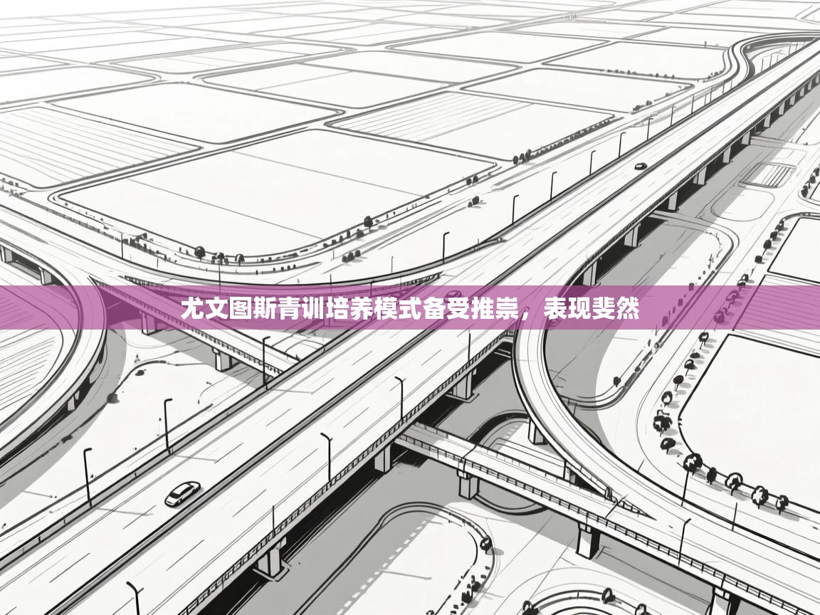 kaiyun sports-尤文图斯青训培养模式备受推崇，表现斐然  第4张