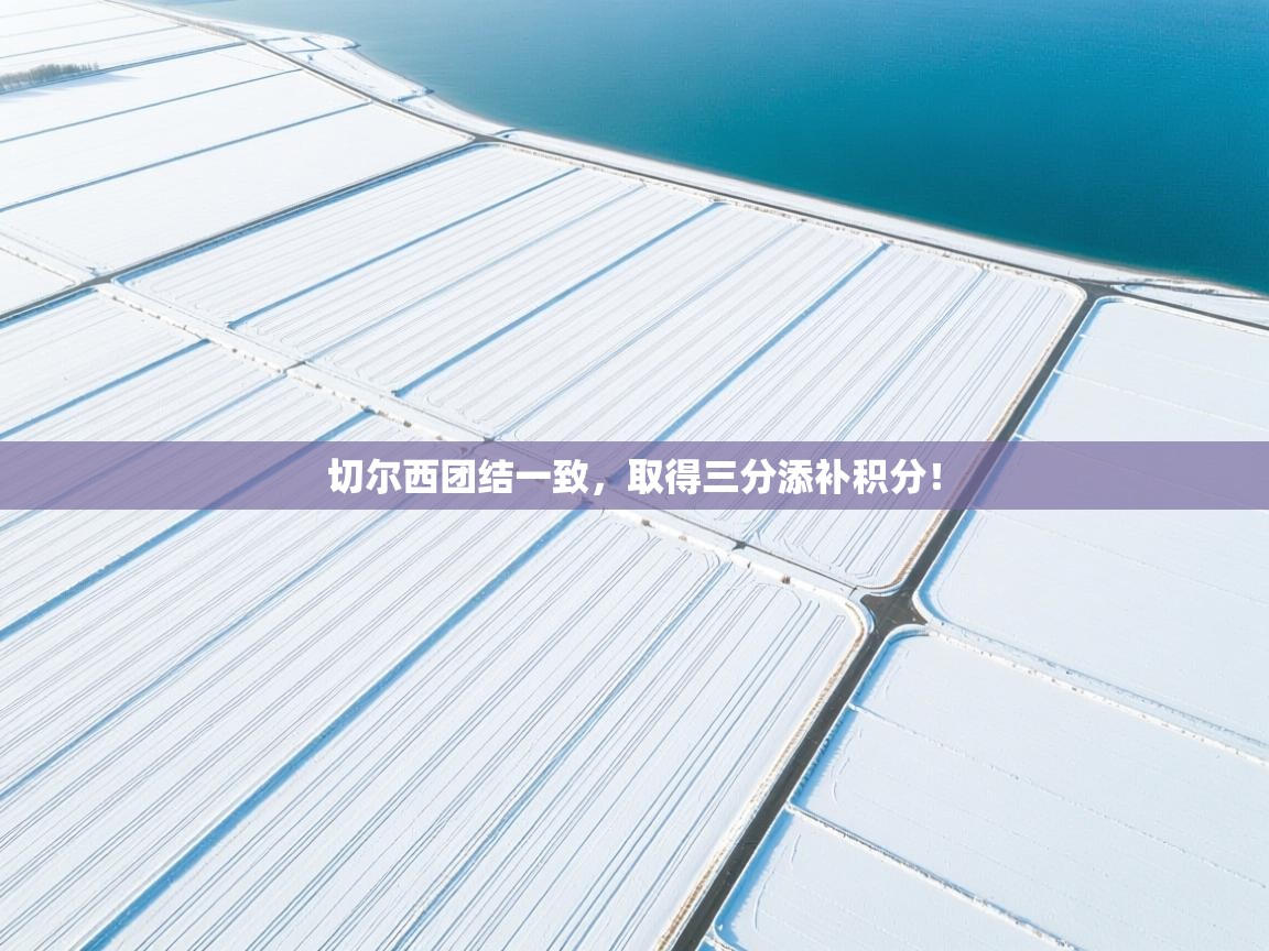 开云kaiyun体育app入口登录官网-切尔西团结一致，取得三分添补积分！  第1张