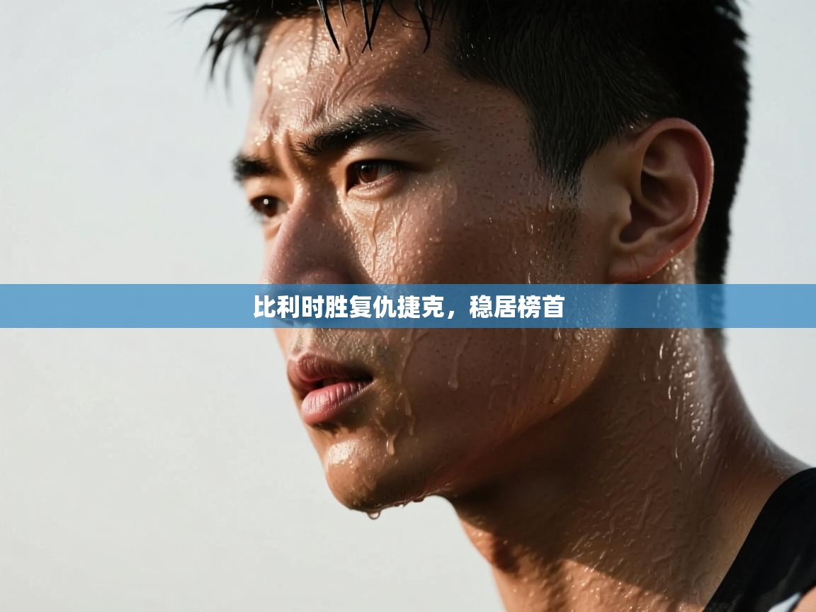 云开体育入口-比利时胜复仇捷克，稳居榜首  第3张