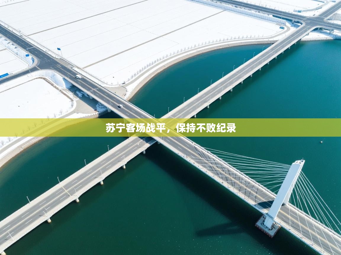 开云体育官方版下载-苏宁客场战平，保持不败纪录  第1张