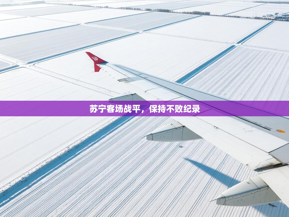 开云体育官方版下载-苏宁客场战平，保持不败纪录  第4张